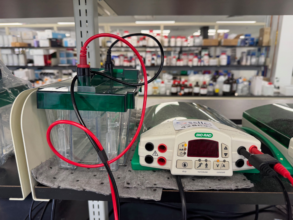 Image of Bio-Rad PowerPac Basic Electrophoresis Power Supply